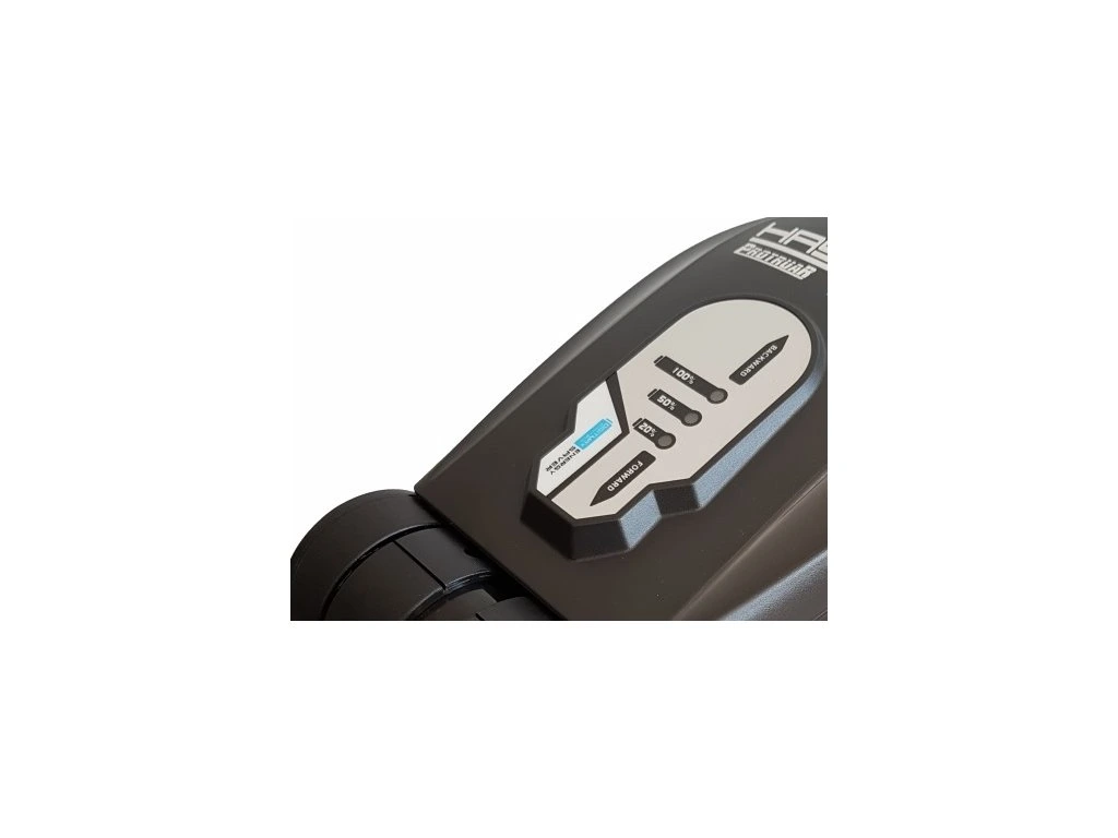 10811-2_elektro-haswing-3 haswing-protruar-3-0-110lb-12v