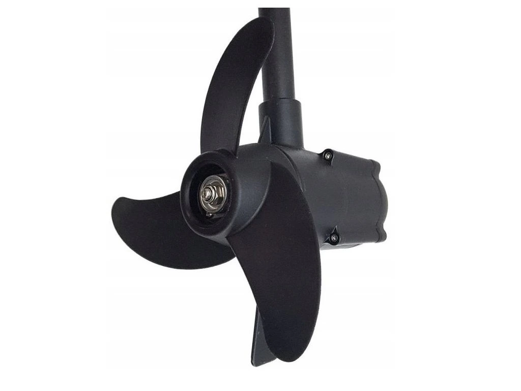 10811-6_elektro-motor-haswing-5 haswing-protruar-3-0-110lb-12v