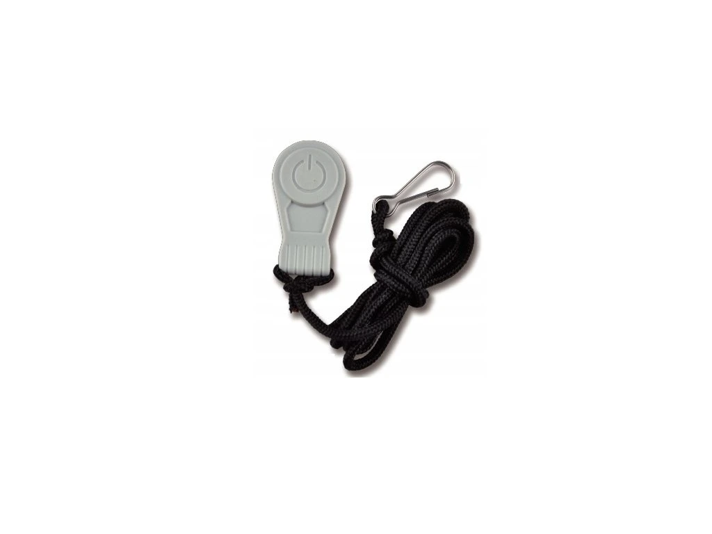 10811-8_elektro-motor-haswing-2 haswing-protruar-3-0-110lb-12v